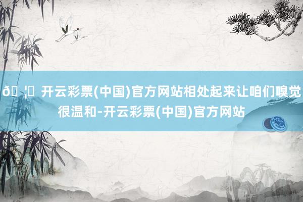 🦄开云彩票(中国)官方网站相处起来让咱们嗅觉很温和-开云彩票(中国)官方网站