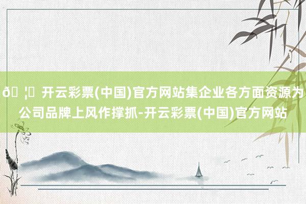 🦄开云彩票(中国)官方网站集企业各方面资源为公司品牌上风作撑抓-开云彩票(中国)官方网站