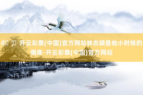 🦄开云彩票(中国)官方网站林志颖是他小时候的偶像-开云彩票(中国)官方网站