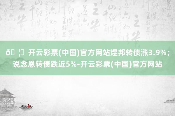 🦄开云彩票(中国)官方网站煜邦转债涨3.9%；说念恩转债跌近5%-开云彩票(中国)官方网站