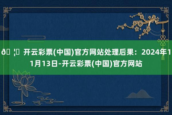 🦄开云彩票(中国)官方网站处理后果：2024年11月13日-开云彩票(中国)官方网站