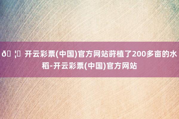 🦄开云彩票(中国)官方网站莳植了200多亩的水稻-开云彩票(中国)官方网站