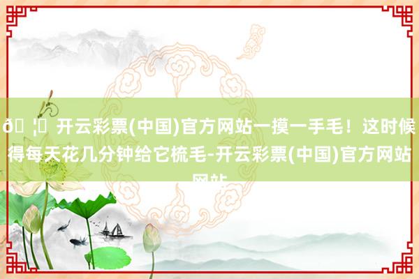 🦄开云彩票(中国)官方网站一摸一手毛！这时候得每天花几分钟给它梳毛-开云彩票(中国)官方网站