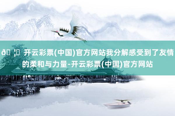 🦄开云彩票(中国)官方网站我分解感受到了友情的柔和与力量-开云彩票(中国)官方网站