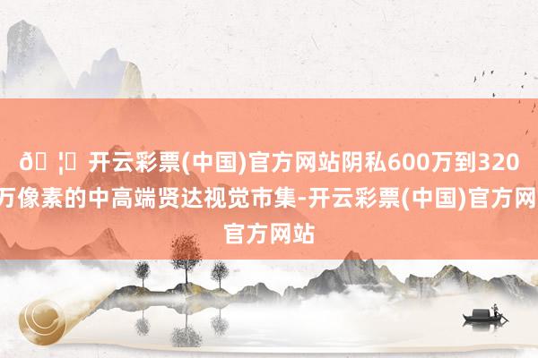 🦄开云彩票(中国)官方网站阴私600万到3200万像素的中高端贤达视觉市集-开云彩票(中国)官方网站