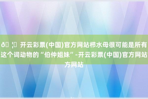 🦄开云彩票(中国)官方网站栉水母很可能是所有这个词动物的“伯仲姐妹”-开云彩票(中国)官方网站