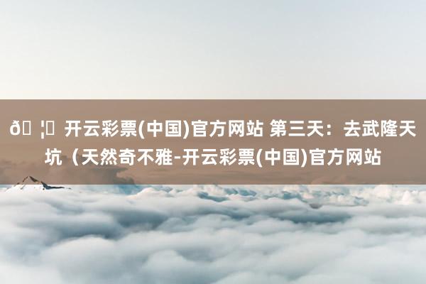 🦄开云彩票(中国)官方网站 第三天：去武隆天坑（天然奇不雅-开云彩票(中国)官方网站