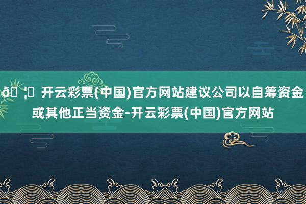 🦄开云彩票(中国)官方网站建议公司以自筹资金或其他正当资金-开云彩票(中国)官方网站