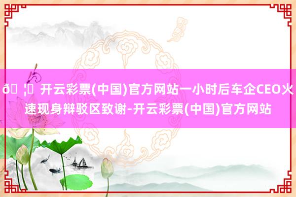 🦄开云彩票(中国)官方网站一小时后车企CEO火速现身辩驳区致谢-开云彩票(中国)官方网站