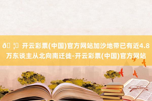 🦄开云彩票(中国)官方网站加沙地带已有近4.8万东谈主从北向南迁徙-开云彩票(中国)官方网站