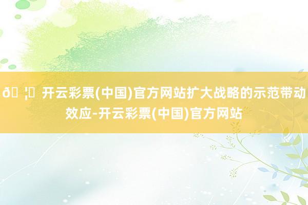 🦄开云彩票(中国)官方网站扩大战略的示范带动效应-开云彩票(中国)官方网站