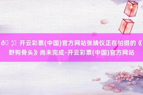 🦄开云彩票(中国)官方网站张婧仪正在拍摄的《野狗骨头》尚未完成-开云彩票(中国)官方网站