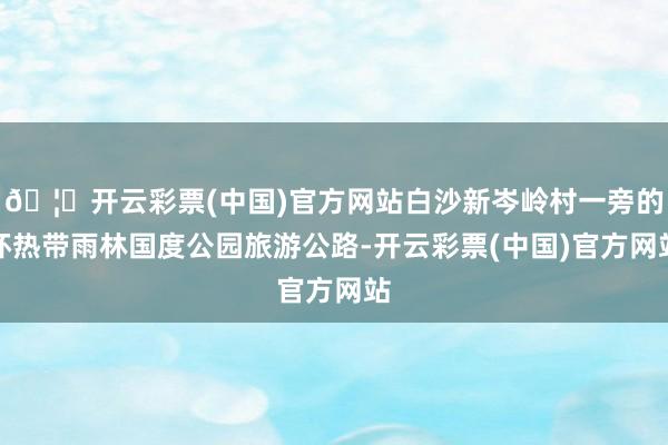 🦄开云彩票(中国)官方网站白沙新岑岭村一旁的环热带雨林国度公园旅游公路-开云彩票(中国)官方网站