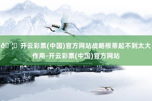 🦄开云彩票(中国)官方网站战略根蒂起不到太大作用-开云彩票(中国)官方网站