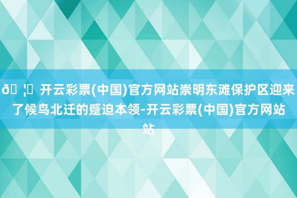 🦄开云彩票(中国)官方网站崇明东滩保护区迎来了候鸟北迁的蹙迫本领-开云彩票(中国)官方网站