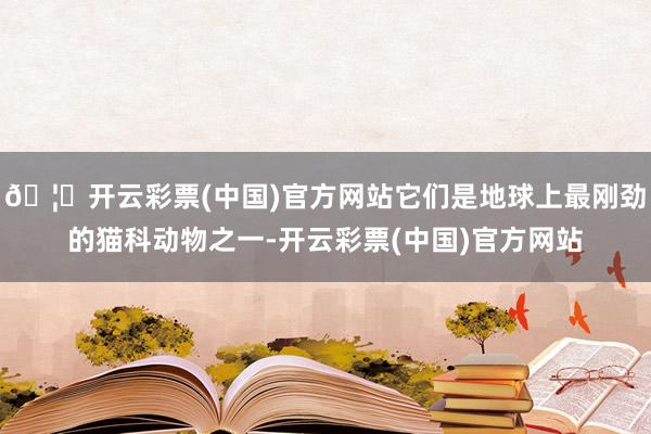 🦄开云彩票(中国)官方网站它们是地球上最刚劲的猫科动物之一-开云彩票(中国)官方网站