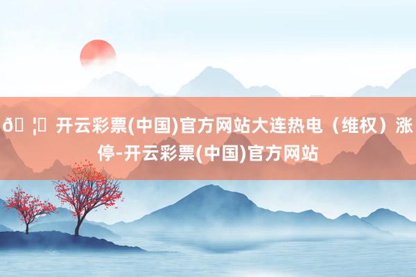 🦄开云彩票(中国)官方网站大连热电（维权）涨停-开云彩票(中国)官方网站