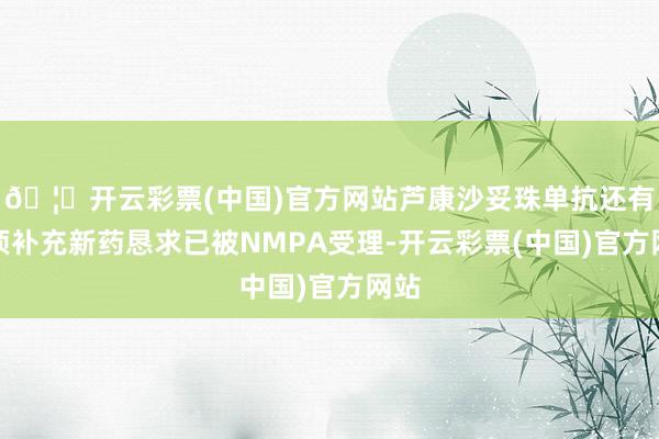 🦄开云彩票(中国)官方网站芦康沙妥珠单抗还有两项补充新药恳求已被NMPA受理-开云彩票(中国)官方网站