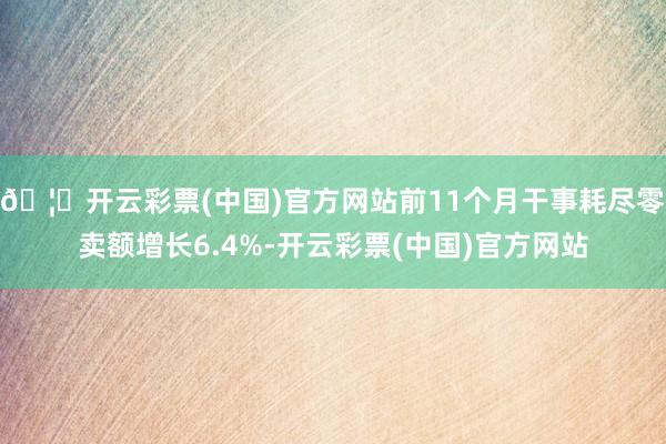 🦄开云彩票(中国)官方网站前11个月干事耗尽零卖额增长6.4%-开云彩票(中国)官方网站